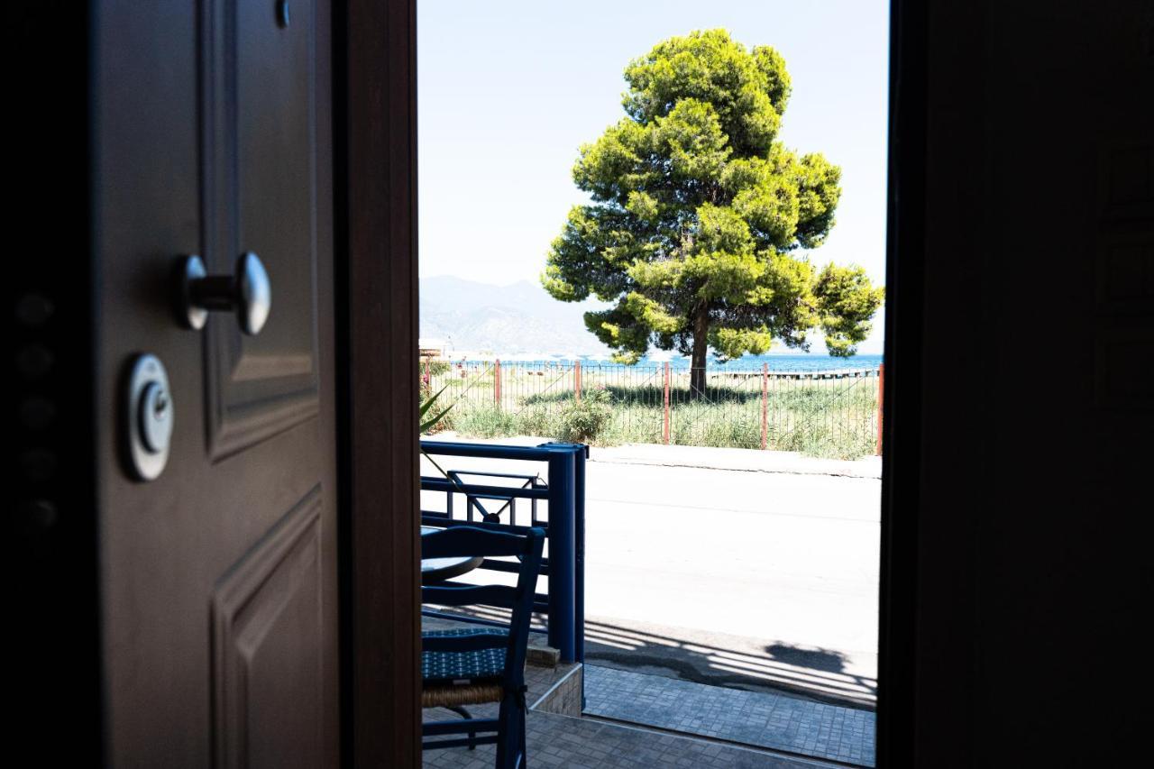 Gabbiano Blu Apartment โวโลส ภายนอก รูปภาพ